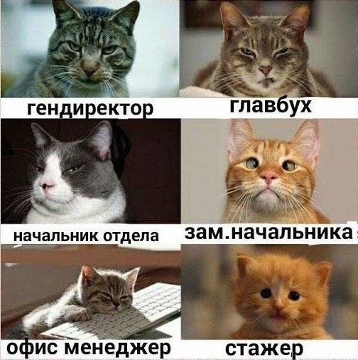       - 10  2017  03:23