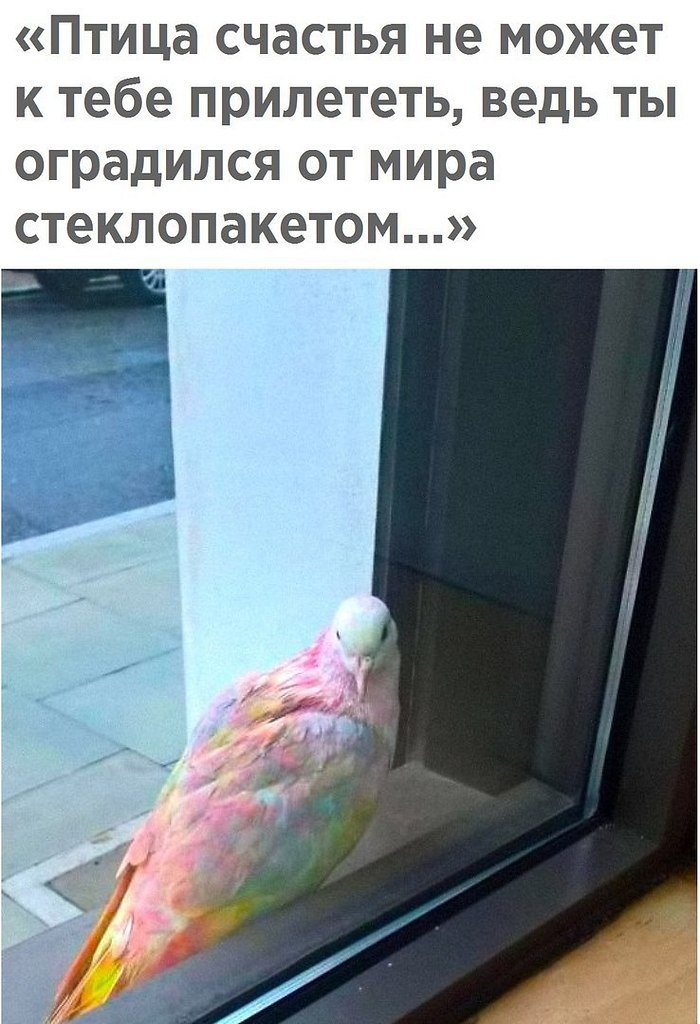  - 28  2017  11:34