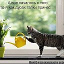 ���� ��, �������� - ��������� 13 ������� 2017 � ������ ���� ����������