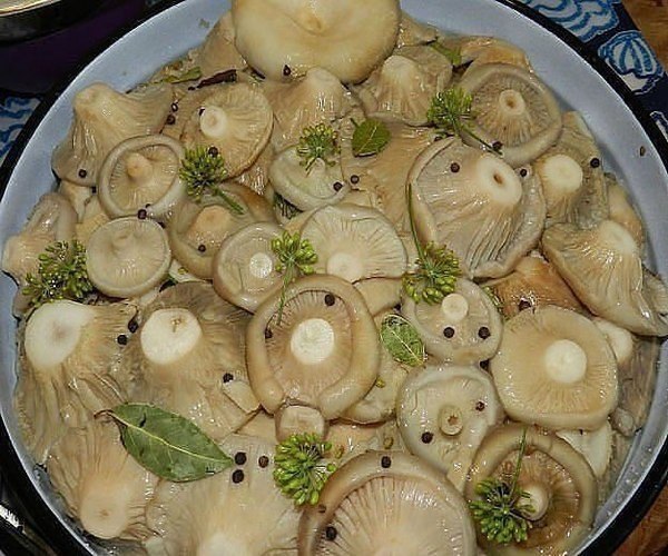 Куриные отбивные с сыром Ингредиенты: куриной грудинки - 500 г сыр - 150г яйца - 2шт майонез - 3 ... - 8
