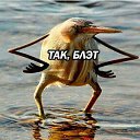 ���� ������, �����, 31 ��� - ��������� 25 ���� 2017 � ������ ���� ����������