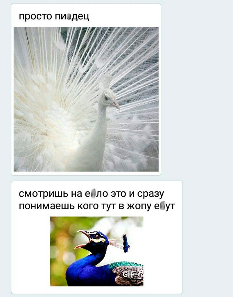   - 2