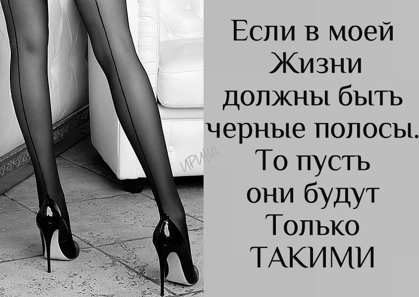   - 12  2017  17:46