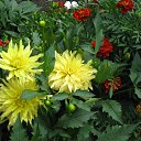 ���� �������, �����, 60 ��� - ��������� 17 ������� 2017 � ������ ���� �����