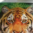 �������� �������. � ������� ������� �� ������� ���� �������