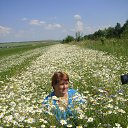 2017 � �� ������� ���� ����������