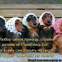 ���� ������, ������������ - ��������� 31 ���� 2017 � ������ ��������