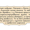  , - -  5  2017    ,   