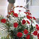  ,  , 52  -  10  2017    