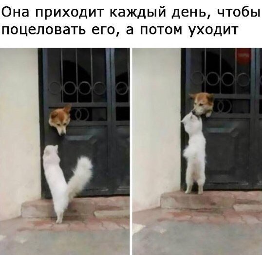    - 24  2017  10:13