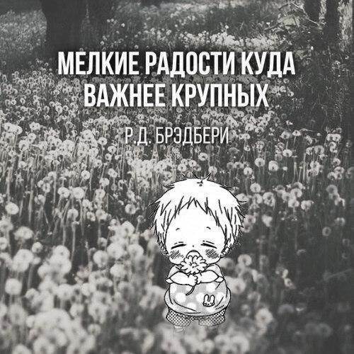      - 13  2017  15:31