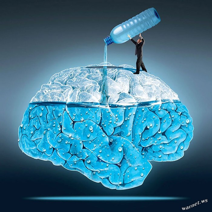 Morski Studio Graficzne   - 4