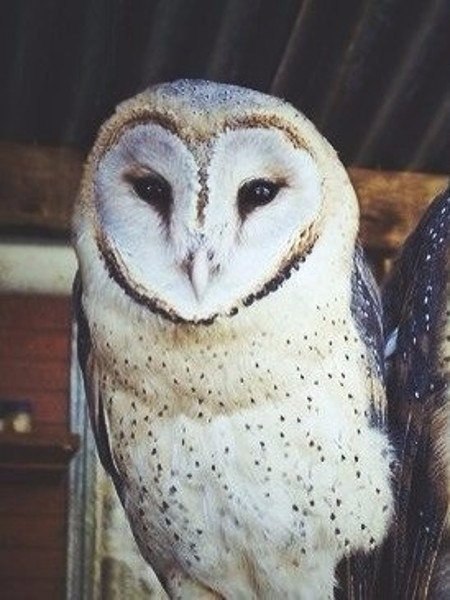 Еще больше эстетического наслаждения.. - 6