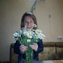 ���� ��������, �����������, 53 ���� - ��������� 1 ������� 2017 � ������ ���� ����������