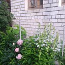 ���� Nikolay, ������ ��������, 73 ���� - ��������� 2 ������� 2017 � ������ ���� ����������