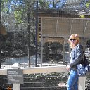 ���� �����, ����������� - ��������� 11 ��� 2017 � ������ ���� ����������