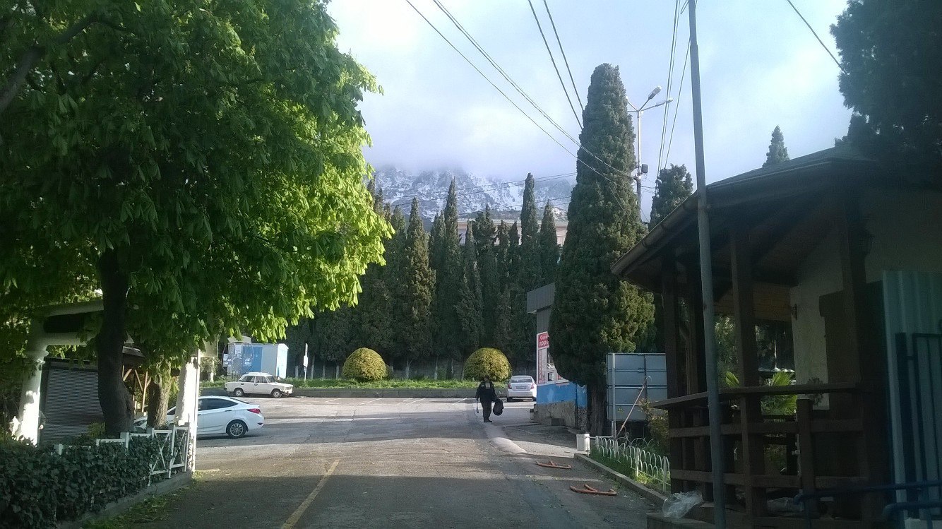 ��-�����.������ �����