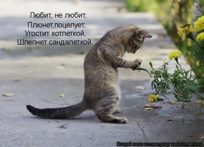   - 23  2017  16:49
