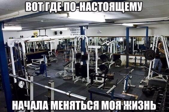  -   - 8  2017  03:51