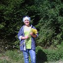 ���� �����, ���������� - ��������� 11 �������� 2017 � ������ ���� ����������