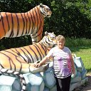 ���� �����, �������, 61 ��� - ��������� 8 ������� 2017 � ������ ���� ����������