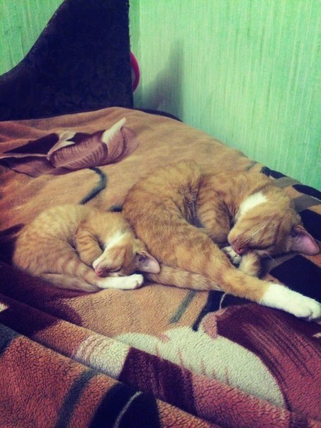 ����������