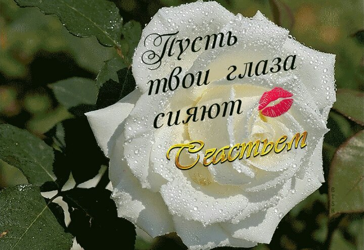  - 7  2017  13:34