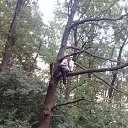 ���� �������, �������, 38 ��� - ��������� 8 �������� 2017 � ������ ��� ������