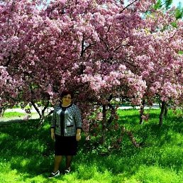 �����, ������� �����, 73 ����