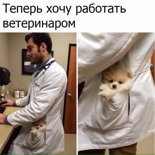    - 10  2017  03:52