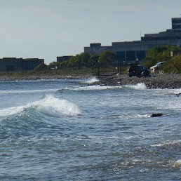 ���� ��������, ������, 43 ���� - ��������� 4 ������� 2017