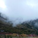  , , 51  -  5  2017    2017