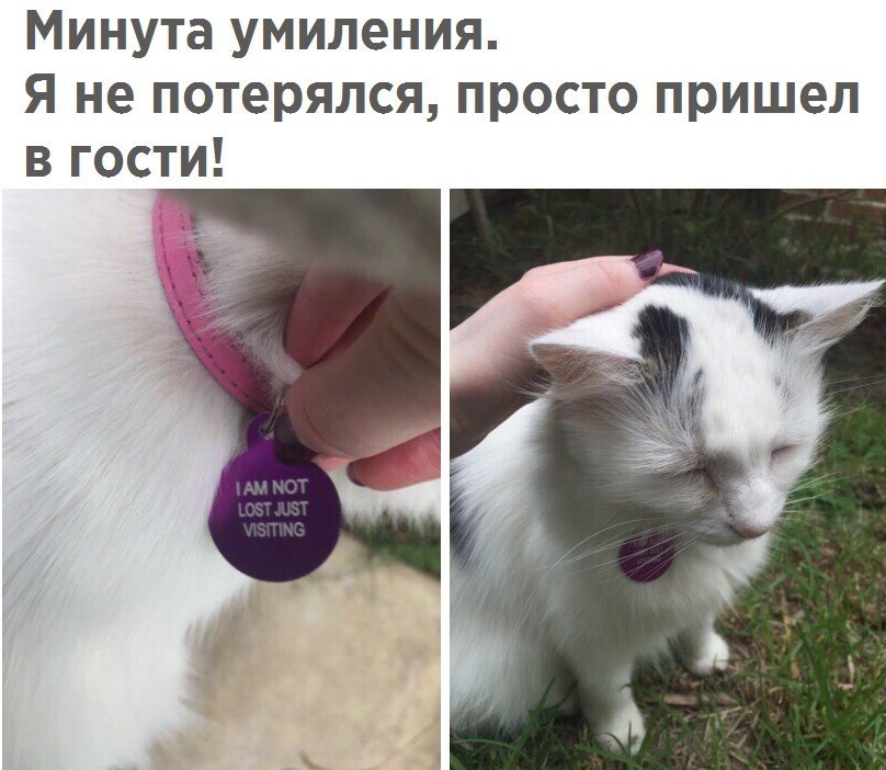  - 13  2017  14:45