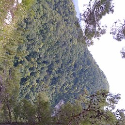 �������, ����, 68 ���