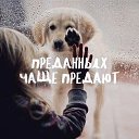 ���� ��������, ������, 73 ���� - ��������� 8 ��� 2017 � ������ ���� ����������