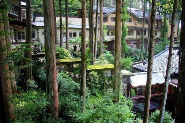  Yunoshimakan,   1931 ,   ,      ... - 2