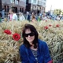 ���� ���, �����, 59 ��� - ��������� 12 ������� 2017 � ������ ���� ����������