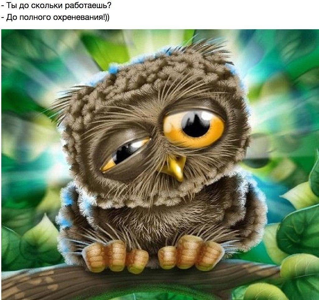 ...         :)