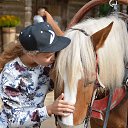 ���� ����������, ������� ��������, 63 ���� - ��������� 27 ������� 2017 � ������ ���������� �������� ���������