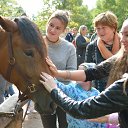 ���� ����������, ������� ��������, 63 ���� - ��������� 27 ������� 2017 � ������ ���������� �������� ���������