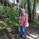 ���� �������, ����������, 67 ��� - ��������� 6 ���� 2017 � ������ ���� ����������