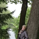 ���� ���������, �����-���������, 69 ��� - ��������� 29 ������� 2017 � ������ ���� ����������