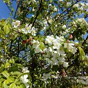 ���� Vyach, ������, 51 ��� - ��������� 29 ��� 2017 � ������ ���� ����������