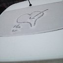 ���� ������, ������, 55 ��� - ��������� 20 ������ 2017 � ������ ���� ����������