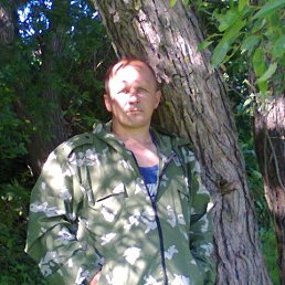 ������ ����������, �����, 51 ���