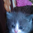 ��� ����� �� ������� �߻