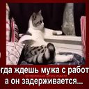���� ������� �������, ������� - ��������� 27 ������� 2017 � ������ ���� ���������߻