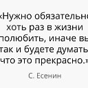 ���� �����, �����-���������, 79 ��� - ��������� 23 ���� 2017 � ������ ������ ��������