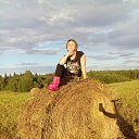 ���� ������ �����������, ������, 61 ��� - ��������� 14 ������� 2017 � ������ ���� ����������