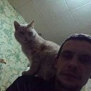  Stalker ( ), , 49  -  22  2017   :  